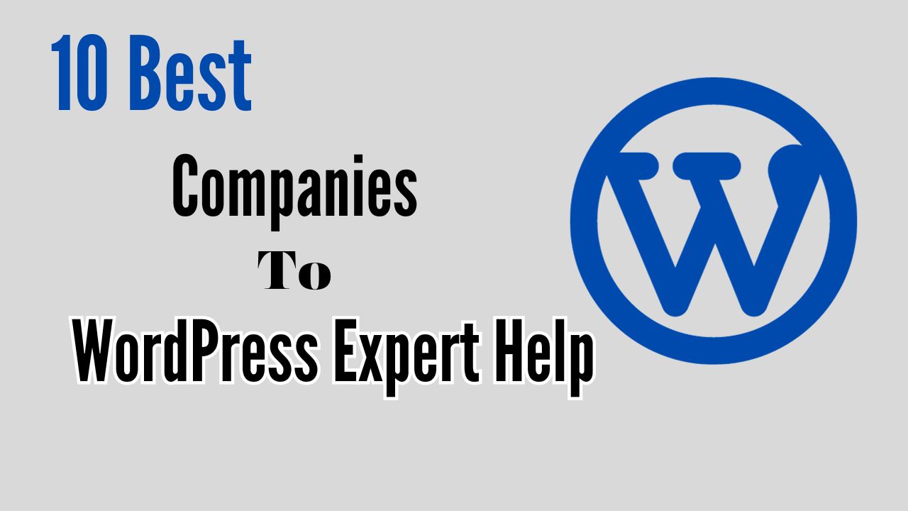 WordPress Expert Help
