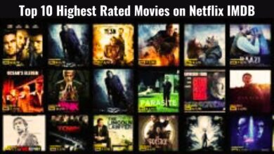 Highest Rated Movies on Netflix IMDB